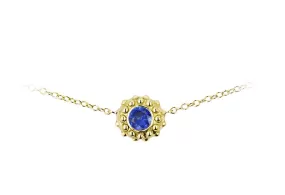 Evolution Sapphire Necklace