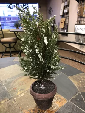 Frosted Icy Tree in Clay Pot